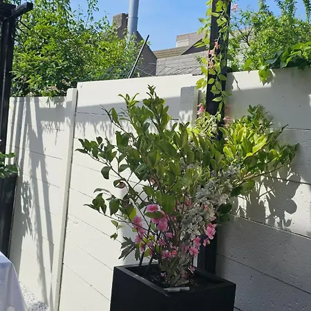 Il Mulino House A 아파트 *
