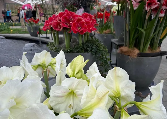 Il Mulino House A Apartman Lisse