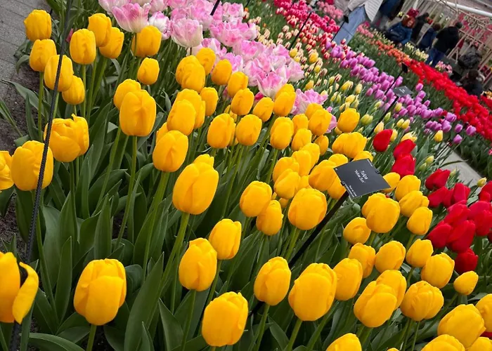 Il Mulino House A Apartman Lisse