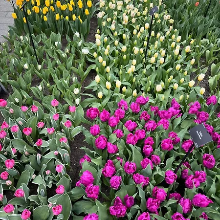 Lejlighed Il Mulino House A