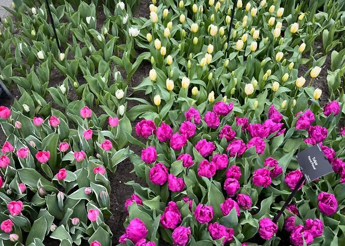 Apartment Il Mulino House A