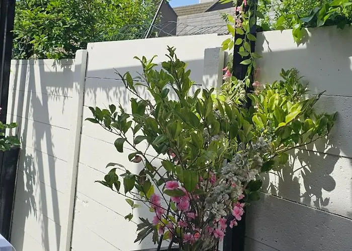 Il Mulino House A Apartment *